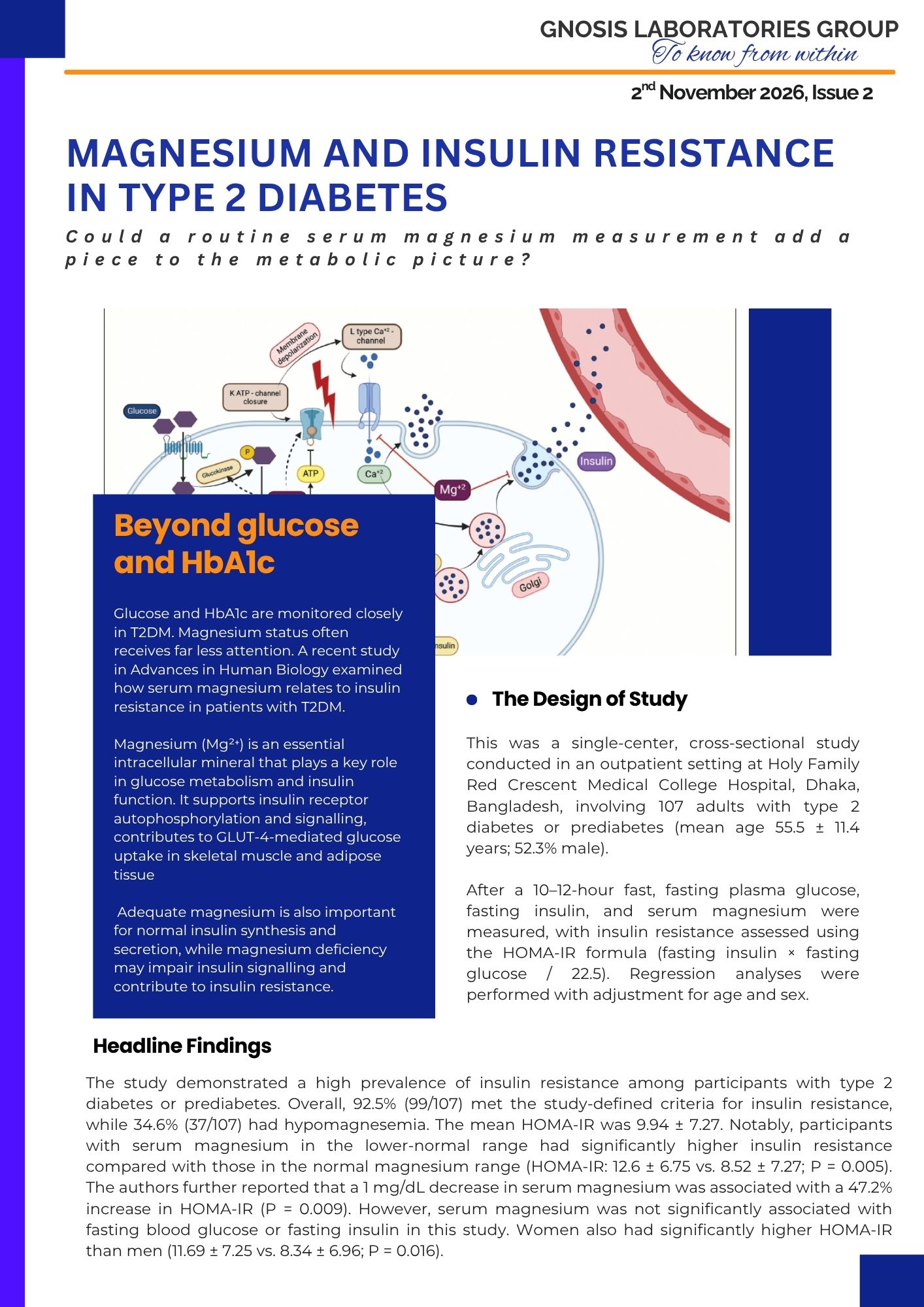 Magnesium and insulin resistance in type 2 diabetes