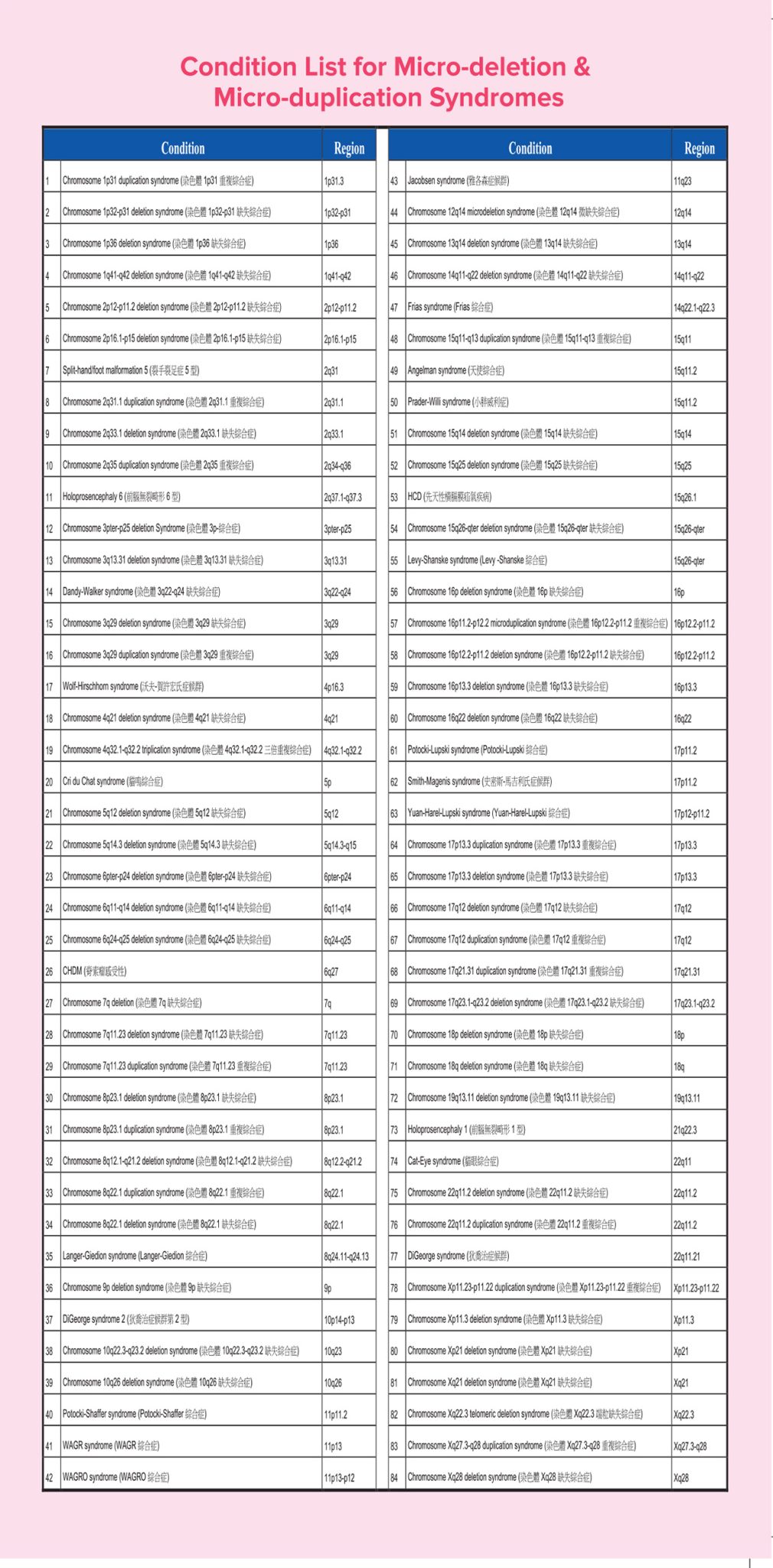 NIFTY-Pro-Phamplet-4